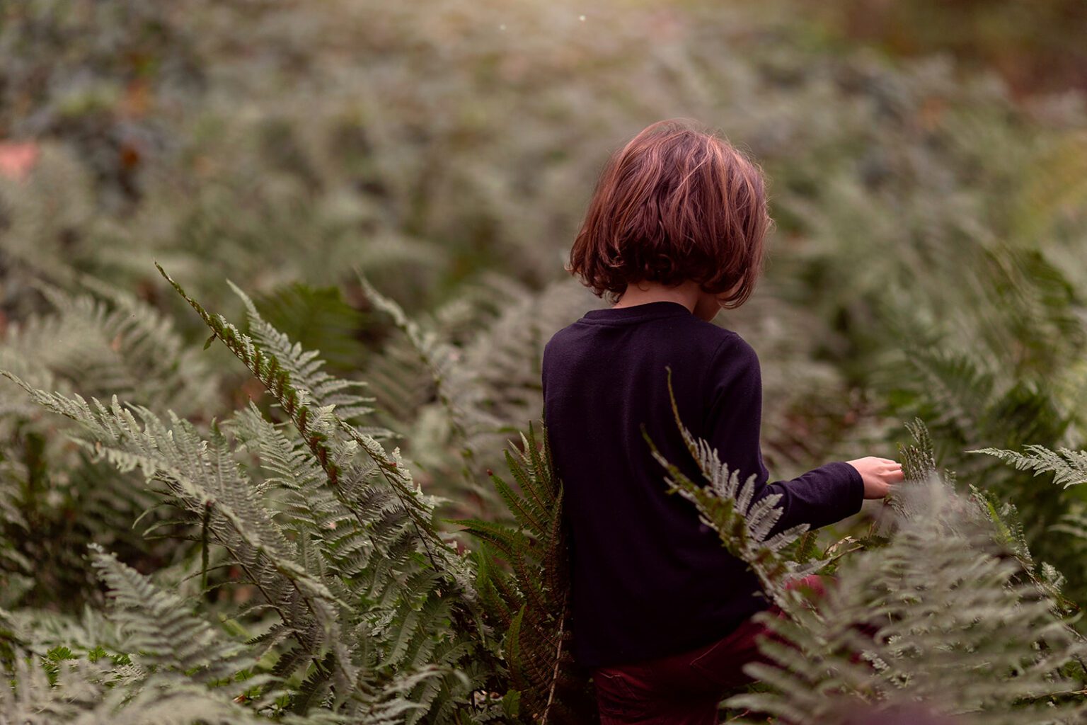 Best time of day for a family photo shoot, kid walking in the forest