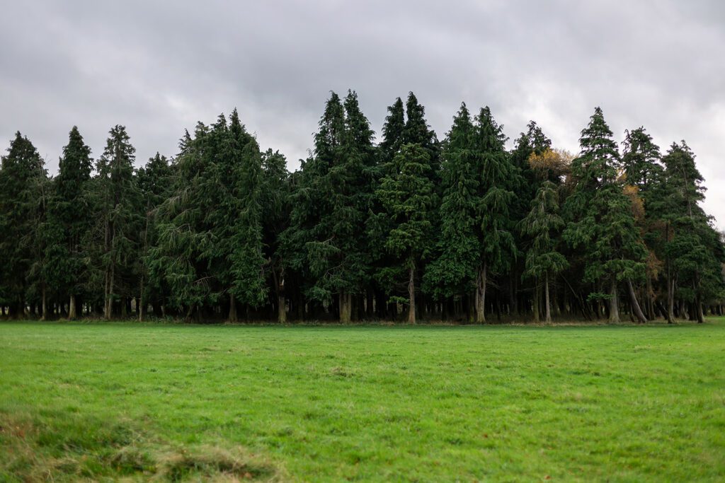 Pheonix park, Dublin