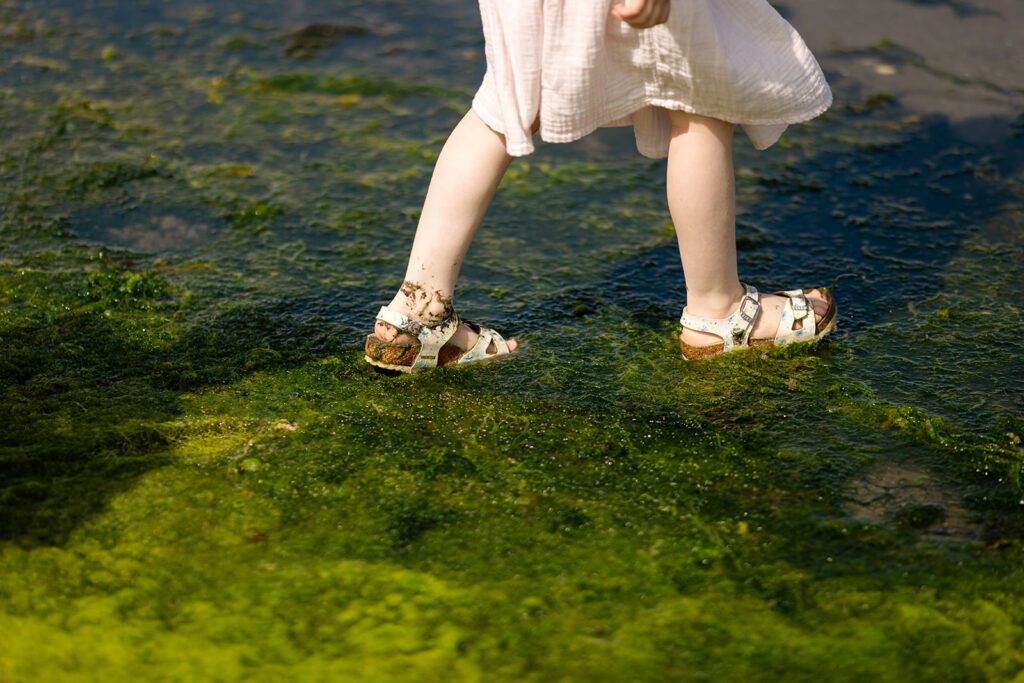 child walking on the beach for a Sandymount beach family photoshoot