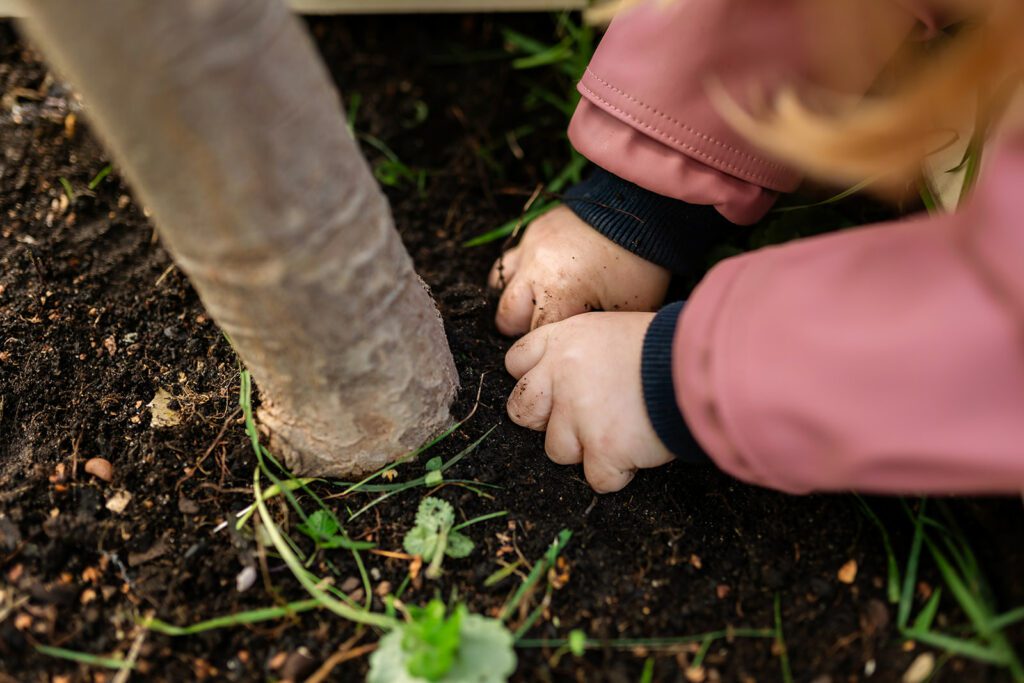 gardening activity for a Preschool Photographer in Dublin